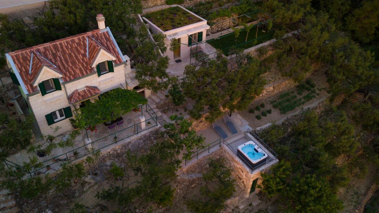 Villa Pelargonia Makarska Dış mekan fotoğraf
