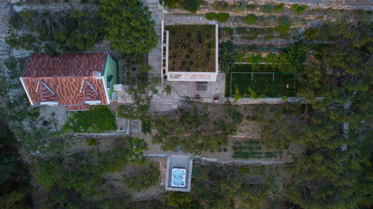 Villa Pelargonia Makarska Dış mekan fotoğraf