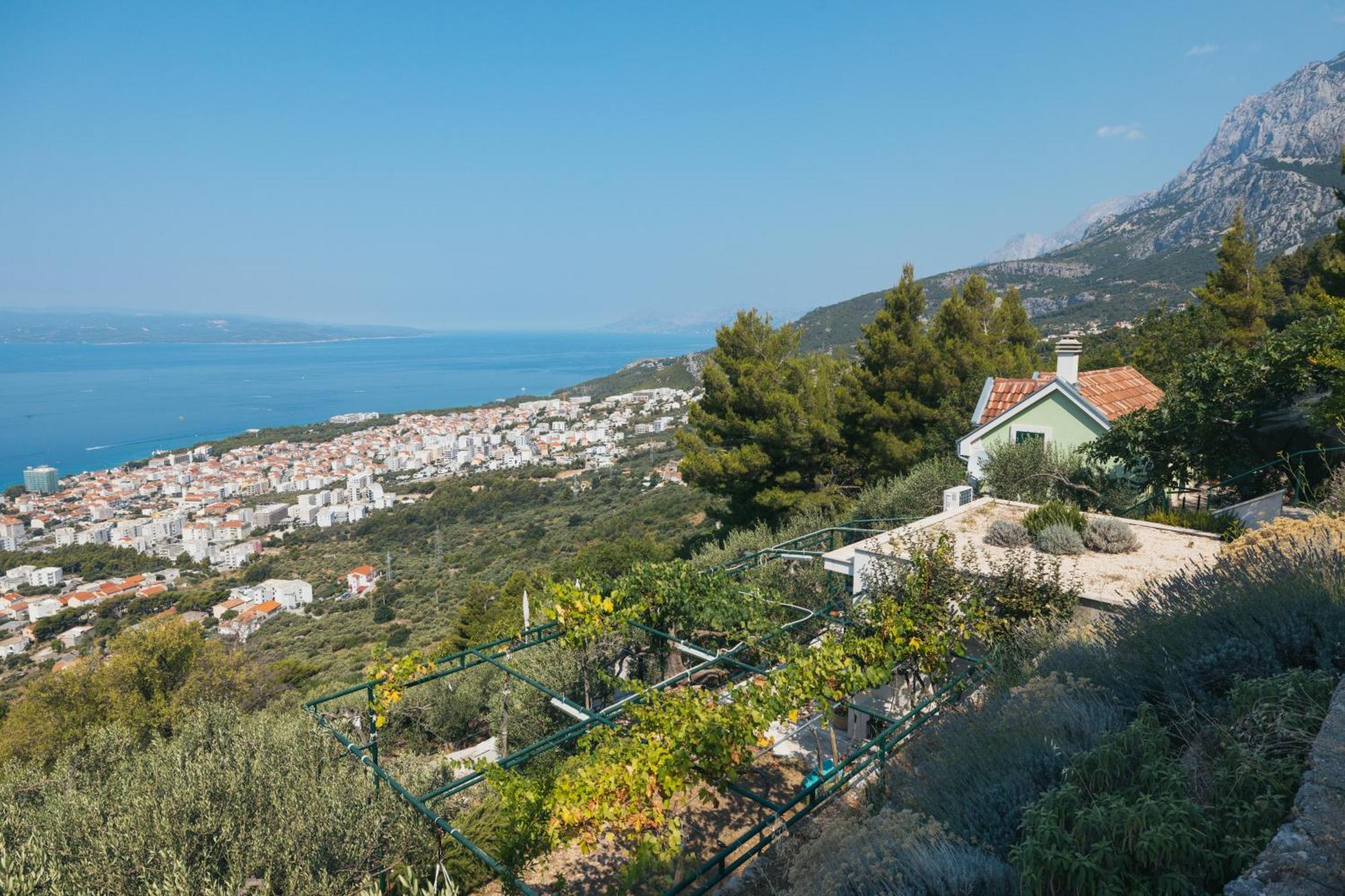 Villa Pelargonia Makarska Dış mekan fotoğraf