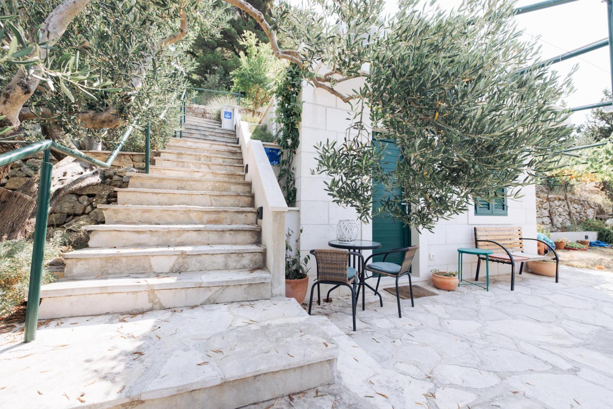 Villa Pelargonia Makarska Dış mekan fotoğraf